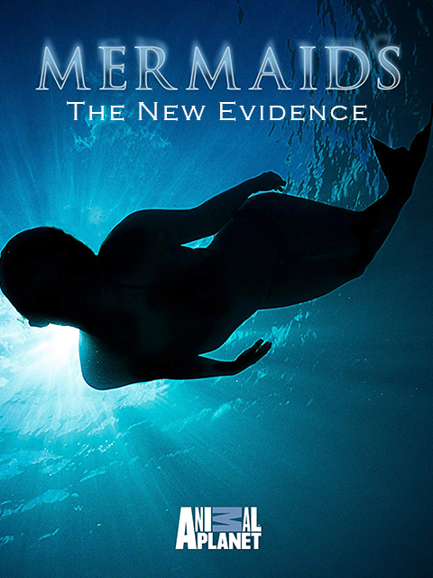 美人鱼：新证据封面图