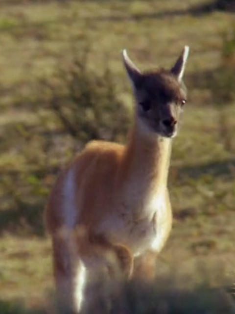 为跑而生的新生活封面图