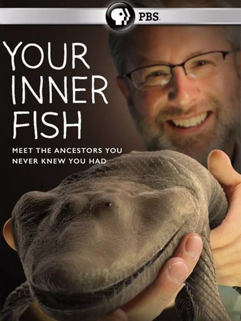 你体内的鱼封面图