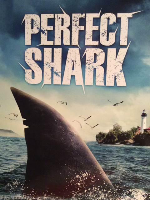 完美鲨鱼封面图