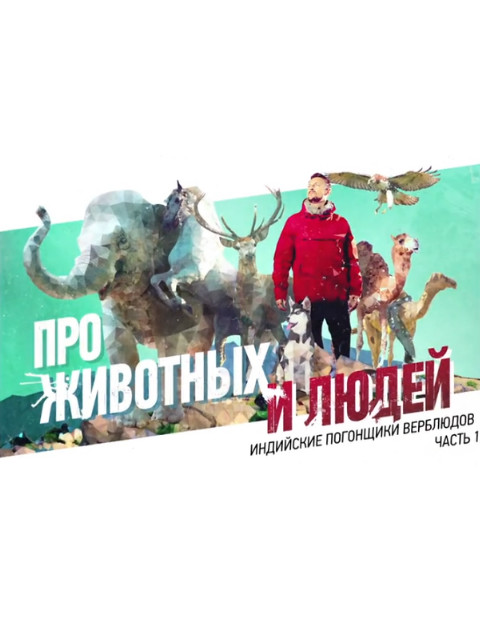 走进自然封面图