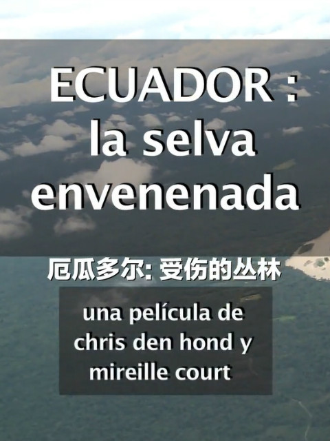 厄瓜多尔：受伤的丛林封面图