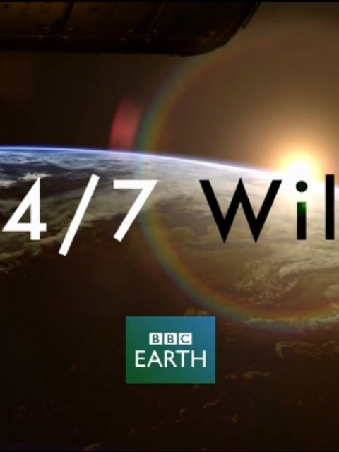 全天候野生动物追踪封面图