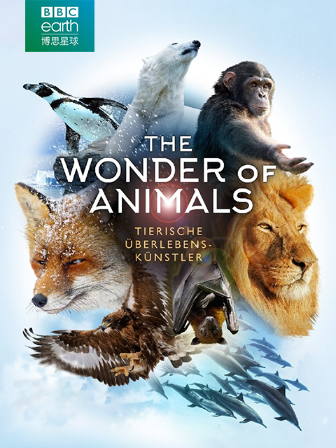 神奇的动物封面图