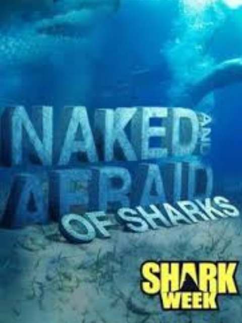 原始生活21天 鲨鱼特集封面图