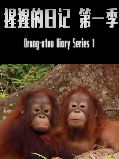 猩猩的日记 第一季封面图