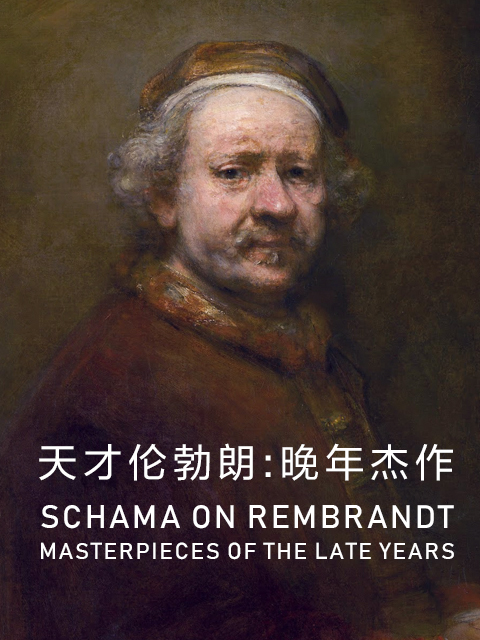 天才伦勃朗：晚年杰作封面图