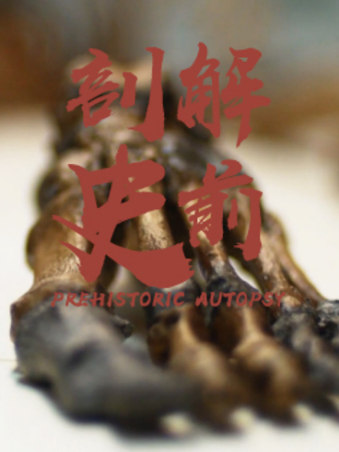 剖检史前封面图