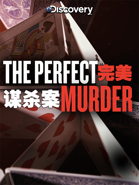 完美谋杀案封面图