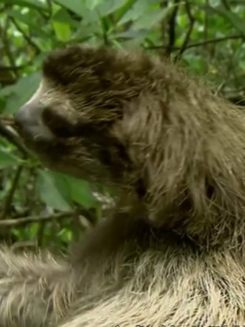 十年新发现封面图