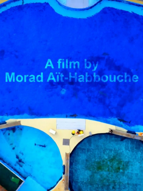 玛丽兰海洋公园封面图