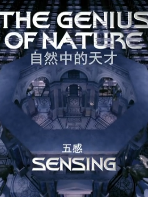 自然中的天才封面图