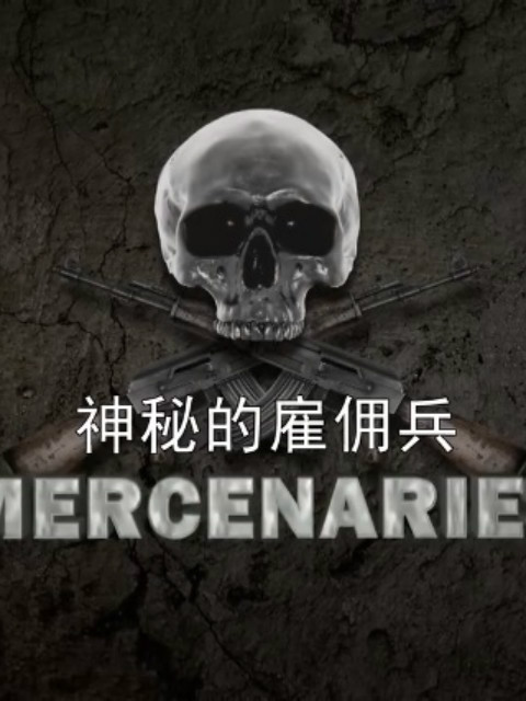 神秘雇佣兵封面图