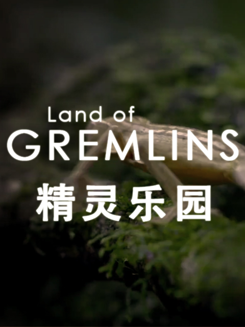 精灵乐园封面图