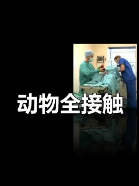 动物全接触 第8季封面图