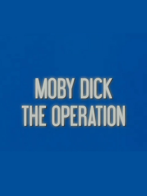 白鲸行动封面图