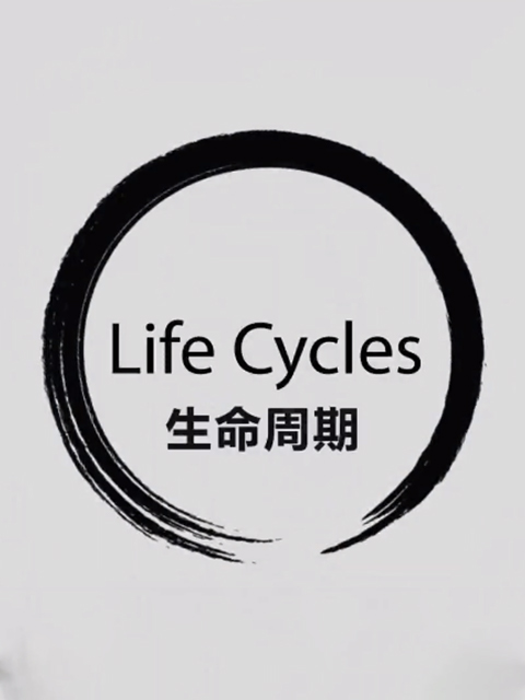 生命周期封面图
