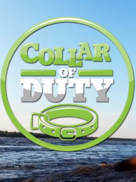 萌宠使命封面图