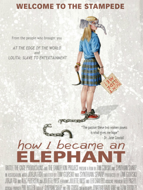 拯救大象封面图