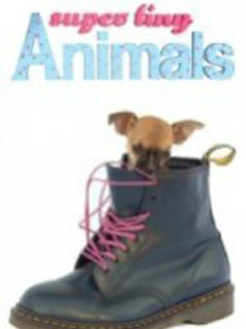 超级迷你动物封面图