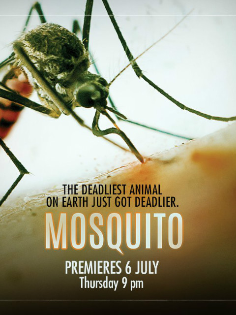 灭蚊大作战封面图