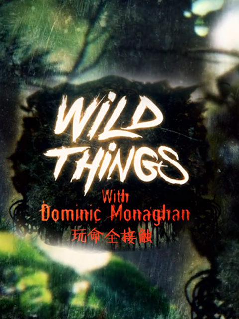 玩命全接触 第三季封面图