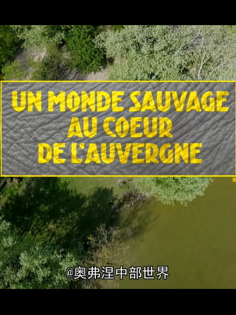 奥弗涅中部世界封面图