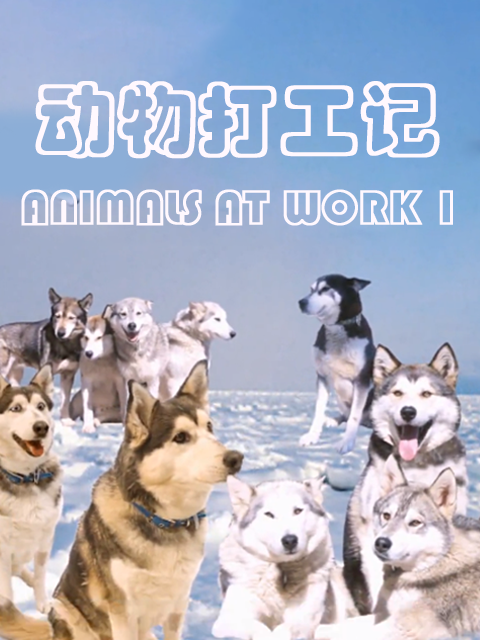 动物打工记 第二季封面图