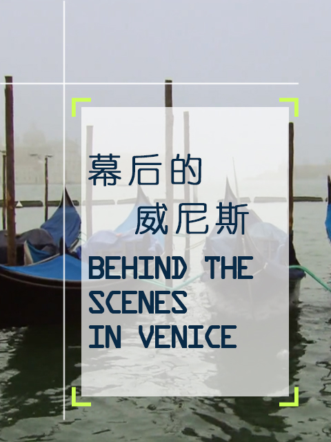 幕后的威尼斯封面图