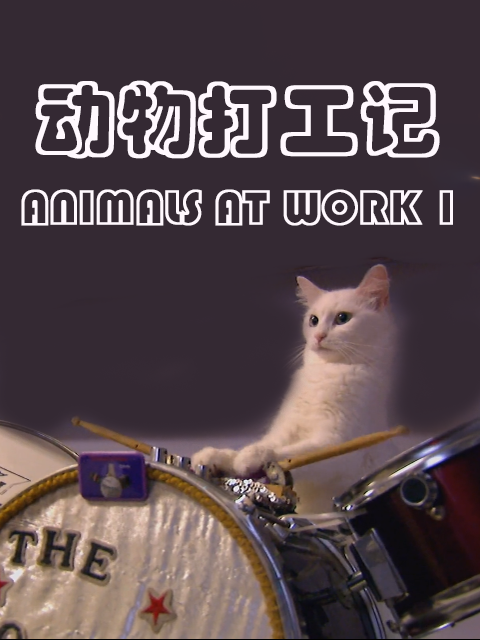 动物打工记 第一季封面图