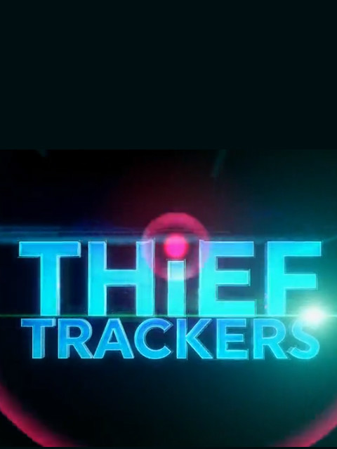 盗贼追踪封面图