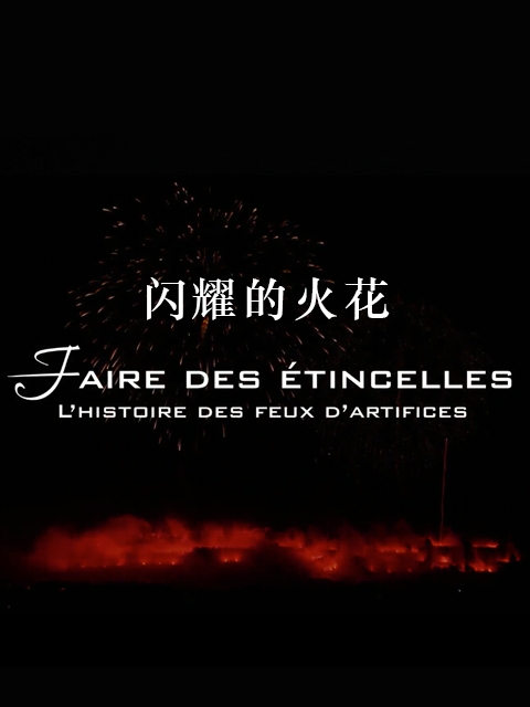 闪耀的火花封面图