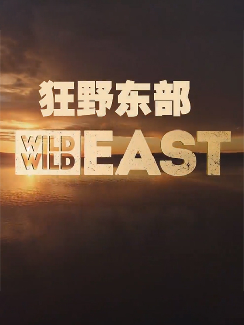 狂野东部封面图