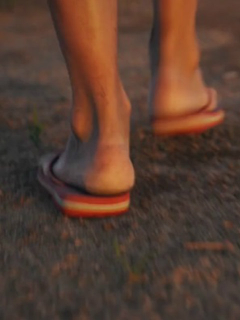 鲁布托鞋的秘密封面图