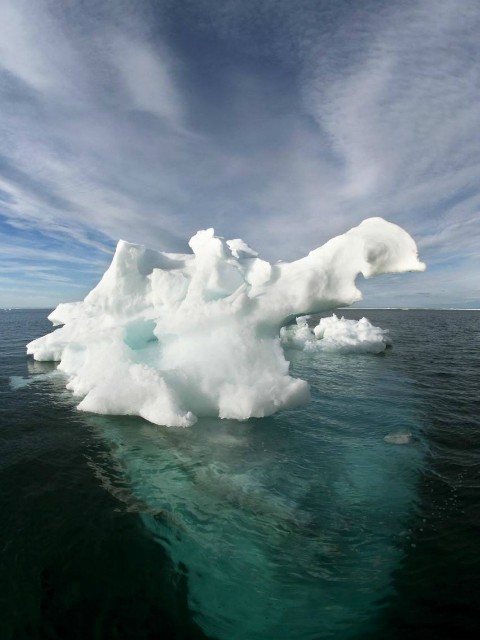 追踪北极海封面图