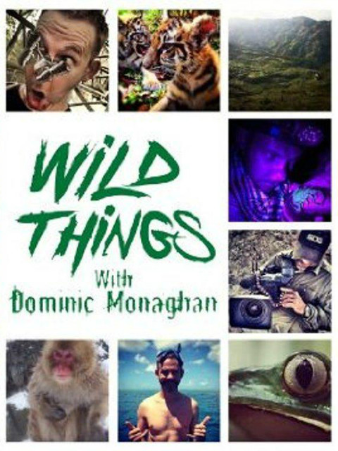 玩命全接触 第二季封面图