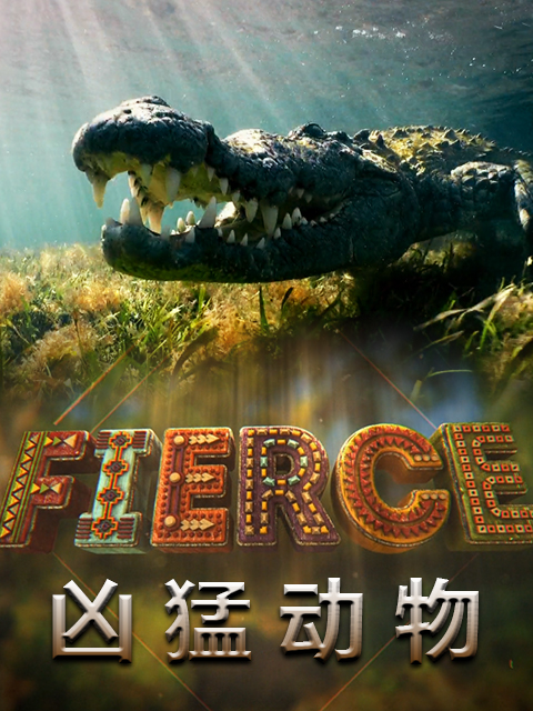 凶猛动物封面图