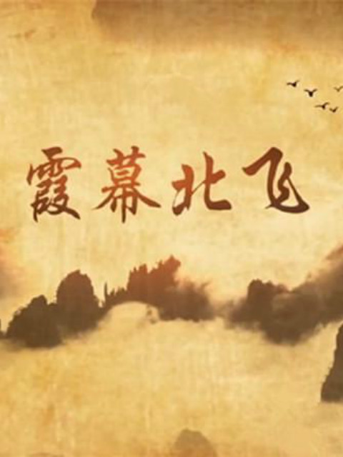 霞幕北飞封面图