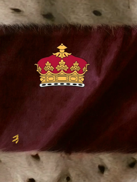 最后的公爵封面图