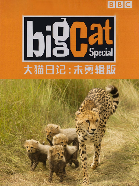 大猫日记 未剪辑版封面图