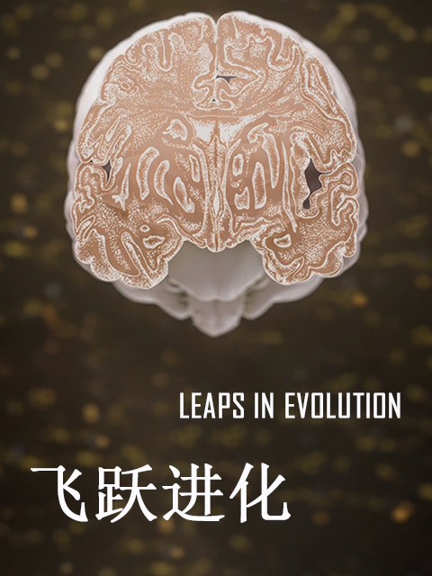 飞跃进化封面图