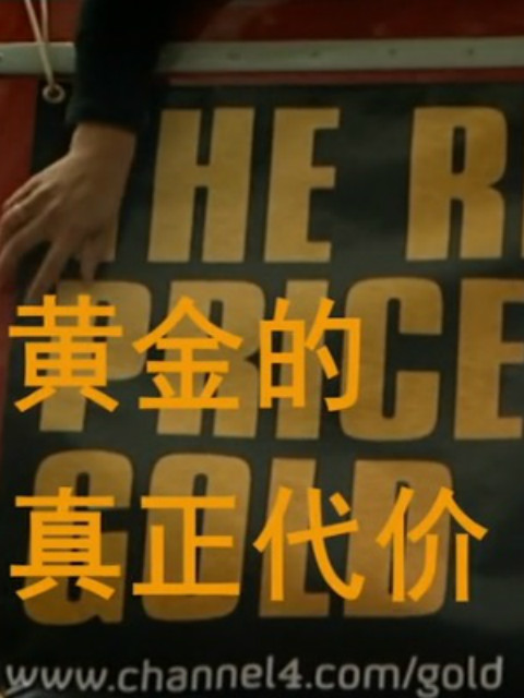 黄金的真正价值封面图