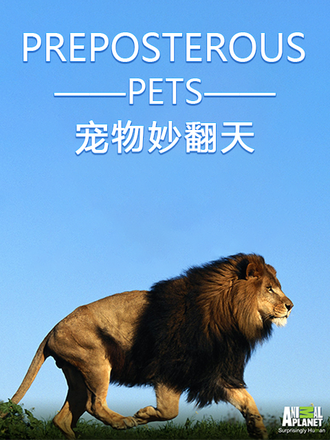 宠物妙翻天封面图