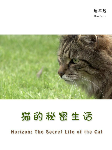 猫的秘密生活封面图
