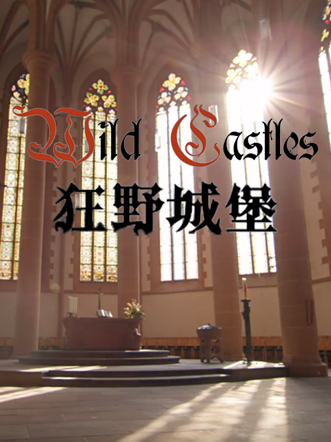 狂野城堡封面图