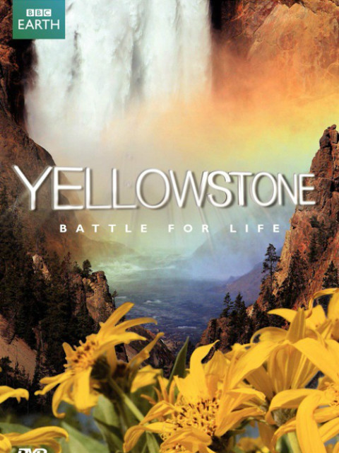 黄石公园封面图