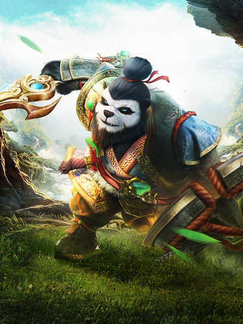 太极熊猫封面图