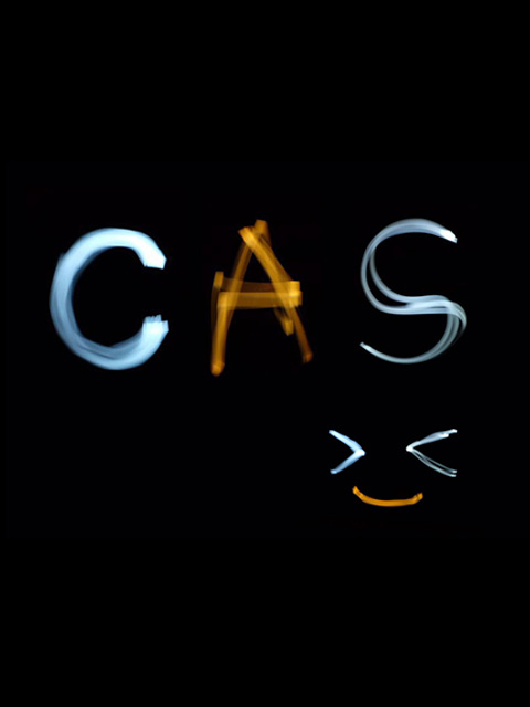 海岸线不污正业sp封面图