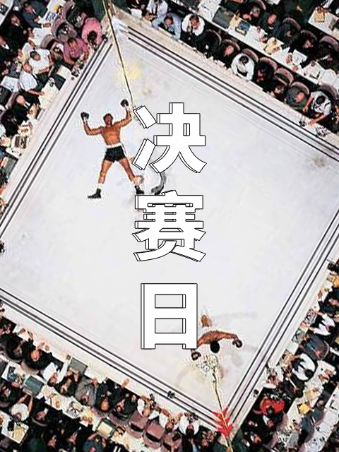 箭厂 决赛日封面图
