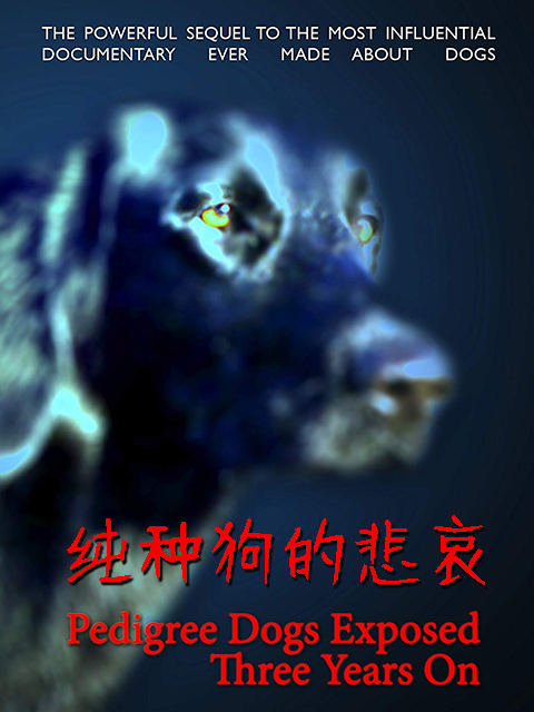 纯种狗的悲哀封面图